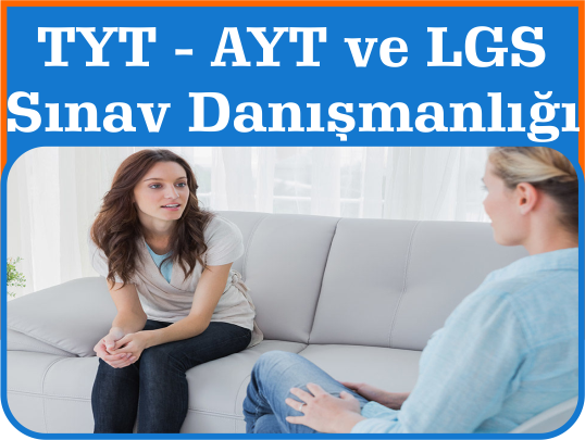 Sınav Danışmanlığı